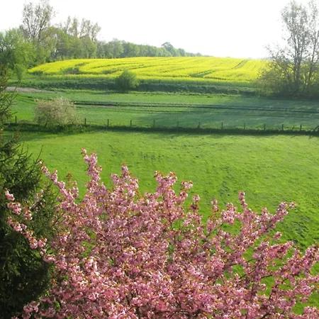 Gutshaus Zietlitz Guest house